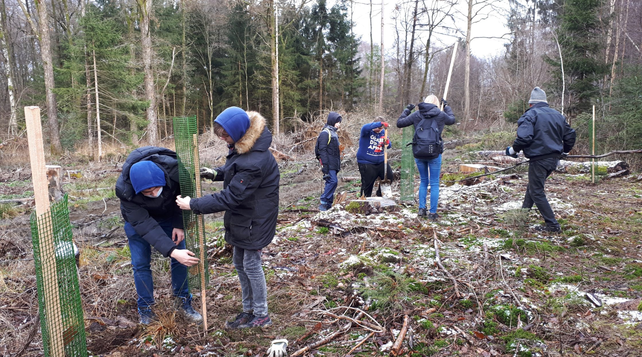 Pflanzaktion im Kirchwald